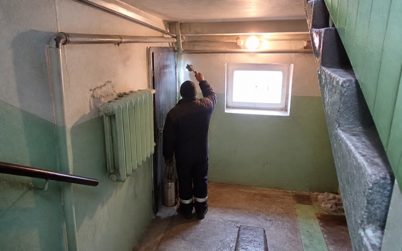 Dezinsekcija pagrabā un kāpņutelpā